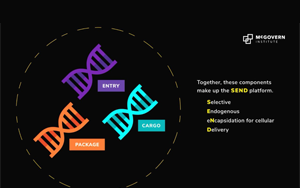 Science重磅:張鋒領(lǐng)銜開發(fā)全新mRNA遞送平臺(tái)SEND,開辟分子療法遞送新方法 Science重磅:張鋒領(lǐng)銜開發(fā)全新mRNA遞送平臺(tái)SEND,開辟分子療法遞送新方法