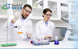 表面活性劑家族,種類齊全 常備現貨 表面活性劑家族,種類齊全 常備現貨