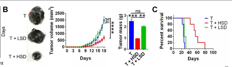 鹽要漲價了!Science子刊揭示:高鹽飲食或可誘導有效的腫瘤免疫! 鹽要漲價了!Science子刊揭示:高鹽飲食或可誘導有效的腫瘤免疫!