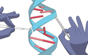Nature Biotech:不受序列限制,精確切割DNA Nature Biotech:不受序列限制,精確切割DNA