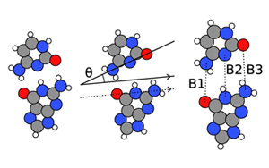 量子生物學(xué)家發(fā)現(xiàn),酶可能是理解DNA突變的關(guān)鍵 量子生物學(xué)家發(fā)現(xiàn),酶可能是理解DNA突變的關(guān)鍵