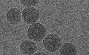 Nature子刊:新型納米粒子提供創(chuàng)新的癌癥化療免疫療法 Nature子刊:新型納米粒子提供創(chuàng)新的癌癥化療免疫療法