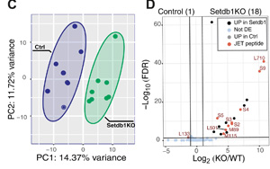 Science Immunology兩篇重要論文:解決癌癥免疫領域長期面臨的挑戰 Science Immunology兩篇重要論文:解決癌癥免疫領域長期面臨的挑戰