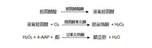 總膽固醇（TC）檢測原理