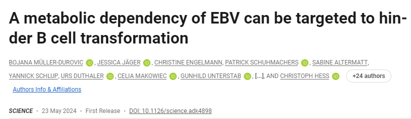 EBV的代謝依賴性可以靶向阻礙B細胞轉化 EBV的代謝依賴性可以靶向阻礙B細胞轉化
