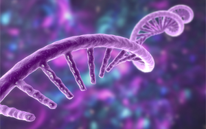 《Nature》新技術捕獲了短壽命RNA,從而揭示了細胞中基因轉錄的隱秘協調方式