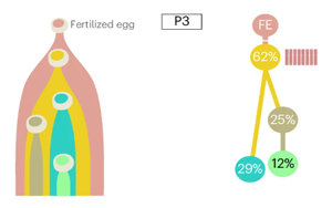 Nature Biotechnology:精確測量癌癥的進化,定義分析腫瘤基因組成的最佳算法