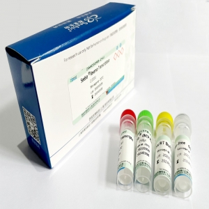 Seebio? KOD Premix + （SYBR Green II）