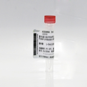 Seebio? 硫酸葡聚糖鈉鹽 20,000分子量對照品（DSS）
